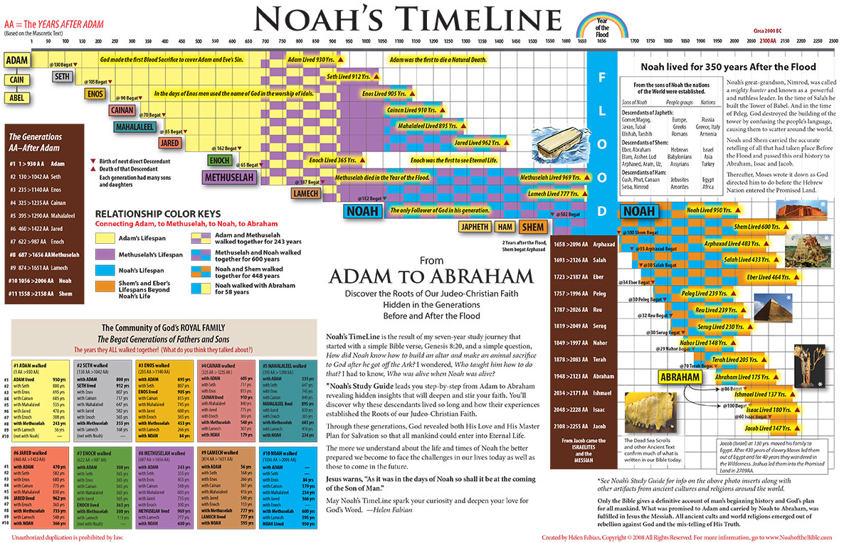 Noah's Timeline